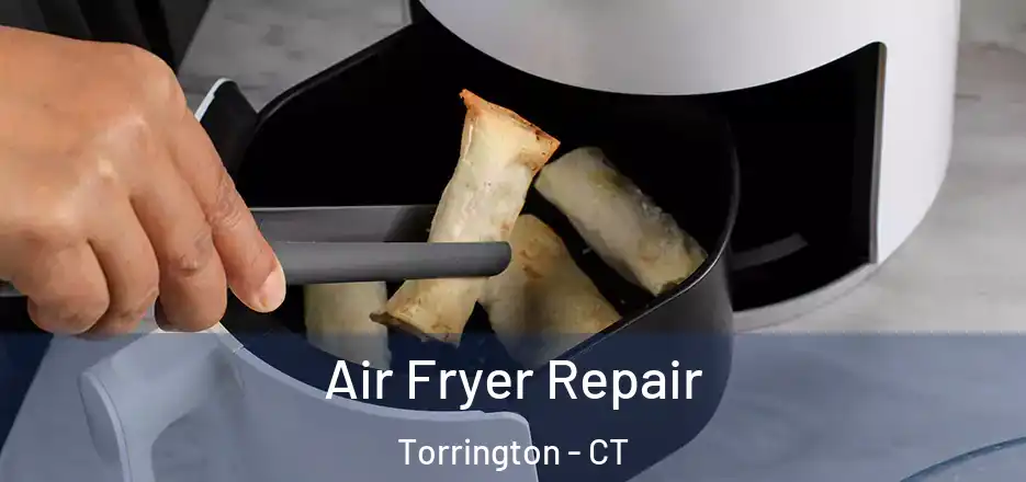Air Fryer Repair Torrington - CT