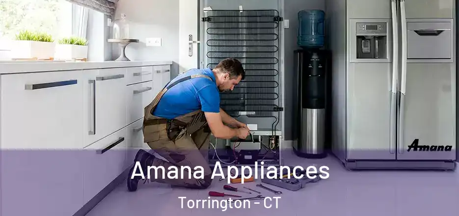 Amana Appliances Torrington - CT