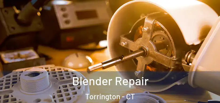 Blender Repair Torrington - CT