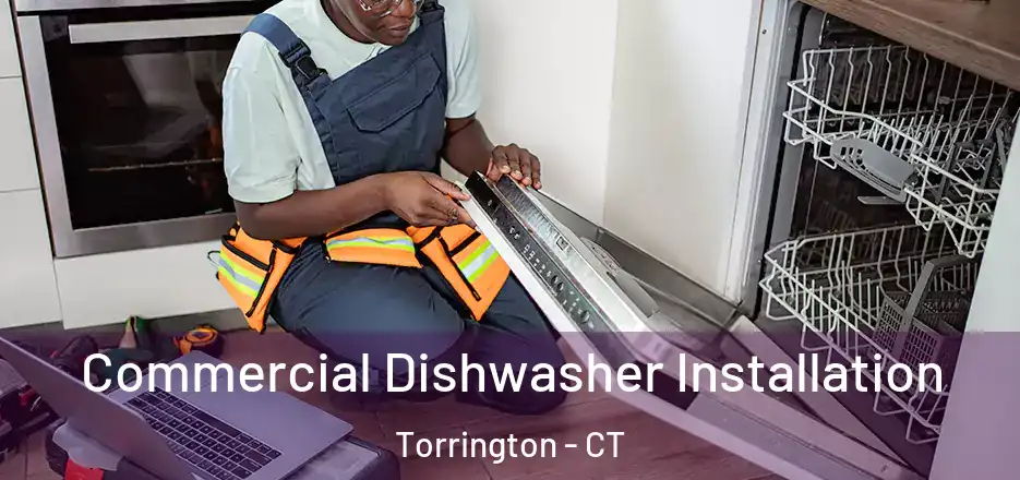 Commercial Dishwasher Installation Torrington - CT