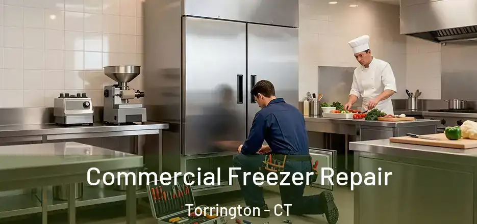 Commercial Freezer Repair Torrington - CT