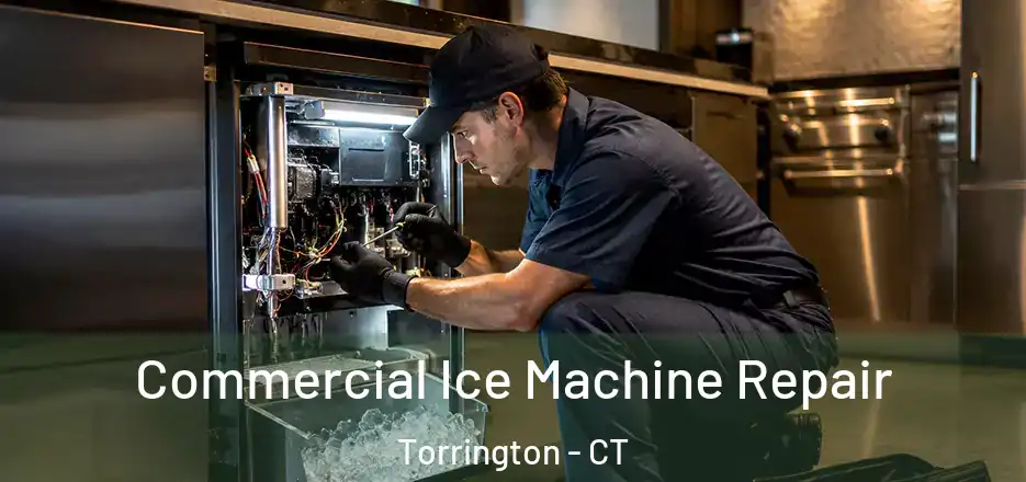 Commercial Ice Machine Repair Torrington - CT