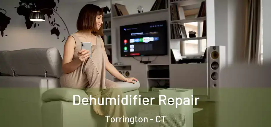 Dehumidifier Repair Torrington - CT