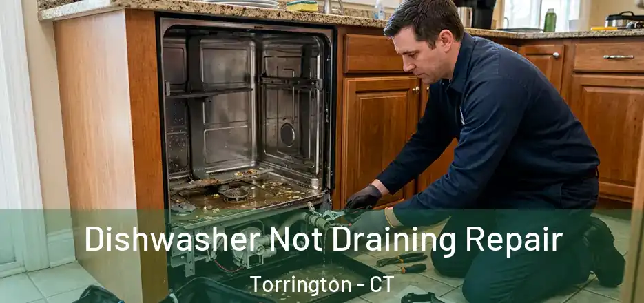 Dishwasher Not Draining Repair Torrington - CT