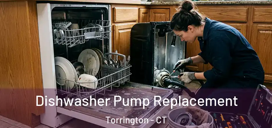 Dishwasher Pump Replacement Torrington - CT