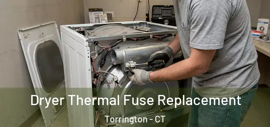 Dryer Thermal Fuse Replacement Torrington - CT