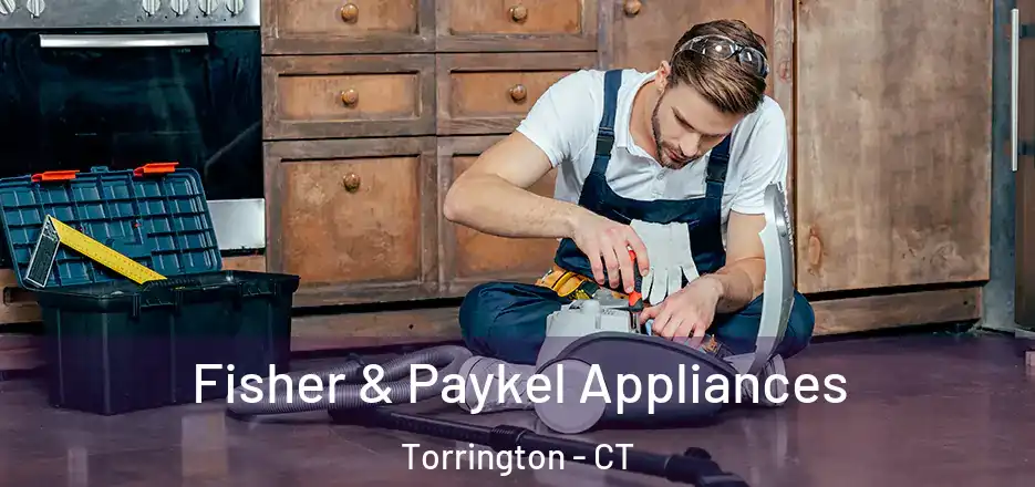 Fisher & Paykel Appliances Torrington - CT