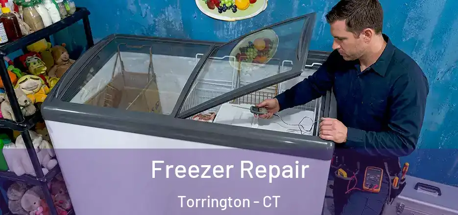 Freezer Repair Torrington - CT