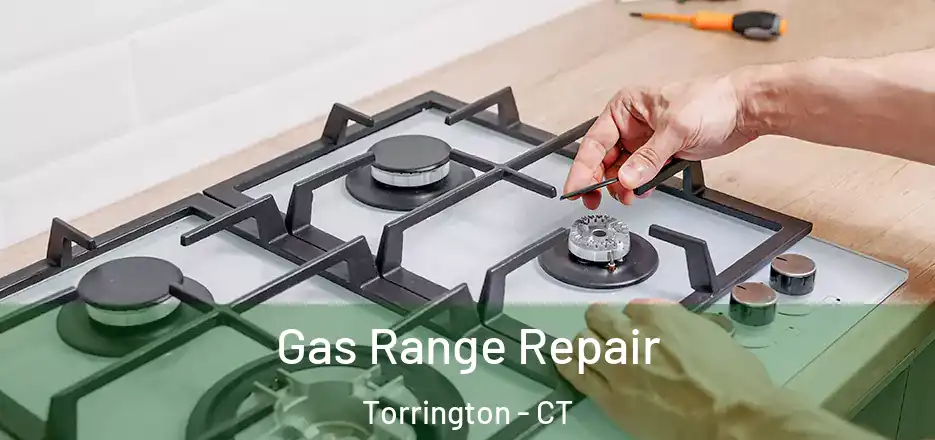 Gas Range Repair Torrington - CT