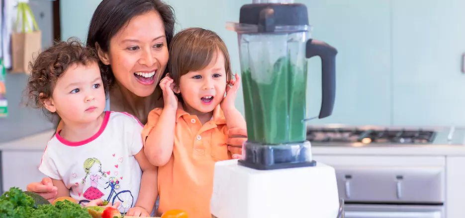 Juicer and Mixer Blender Repair in Torrington