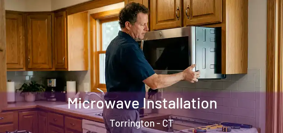 Microwave Installation Torrington - CT