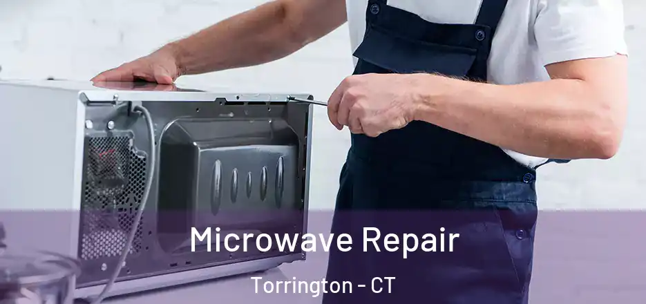 Microwave Repair Torrington - CT