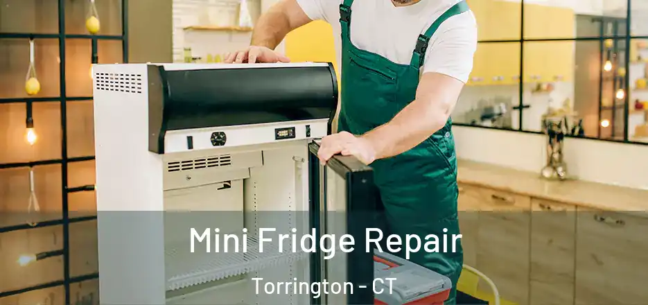 Mini Fridge Repair Torrington - CT