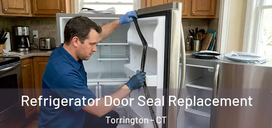 Refrigerator Door Seal Replacement Torrington - CT