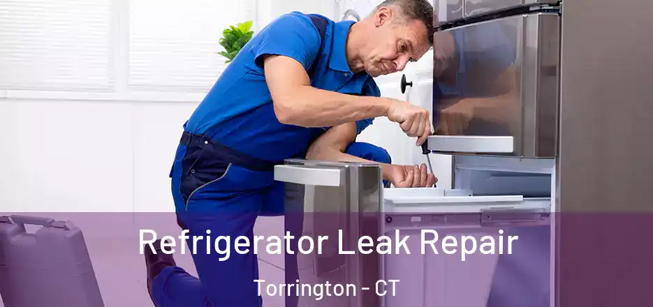Refrigerator Leak Repair Torrington - CT