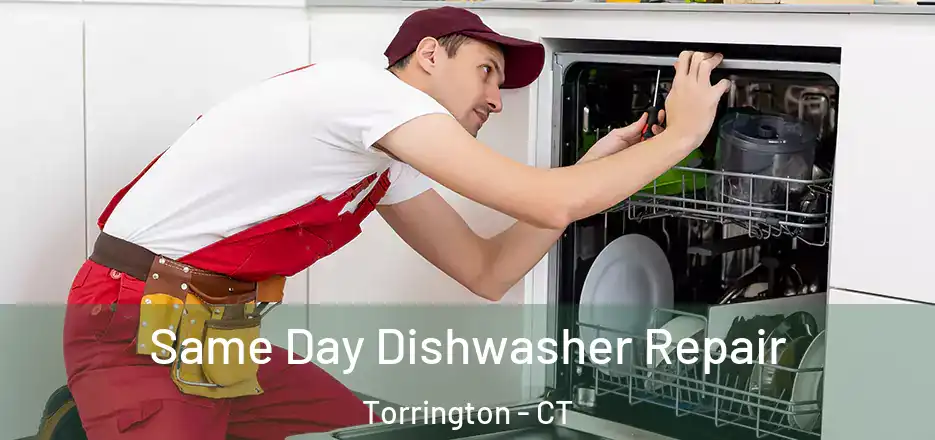 Same Day Dishwasher Repair Torrington - CT