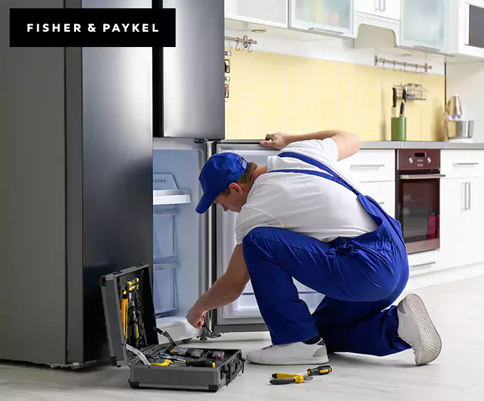 Top-Rated Fisher & Paykel Appliance Experts: Your Brand Specialist in Torrington, CT
