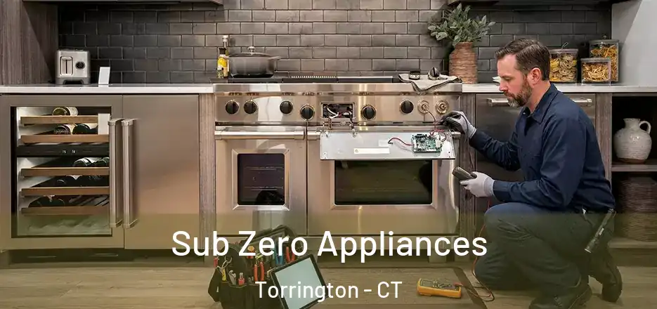  Sub Zero Appliances Torrington - CT