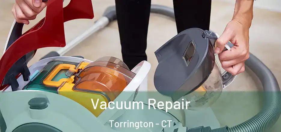 Vacuum Repair Torrington - CT