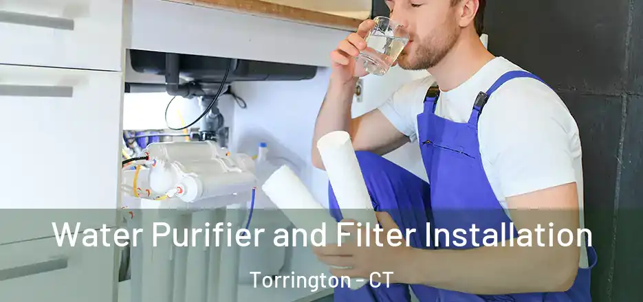 Water Purifier and Filter Installation Torrington - CT