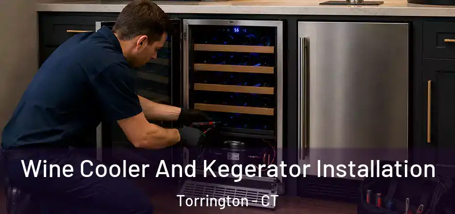 Wine Cooler And Kegerator Installation Torrington - CT